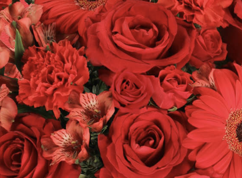 Every Bloomin' Thing